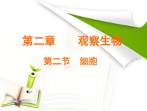 《细胞》PPT课件 (7)-七年级上册科学浙教版