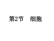 《细胞》教学课件-七年级上册科学浙教版