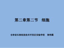 《细胞》PPT课件-七年级上册科学浙教版