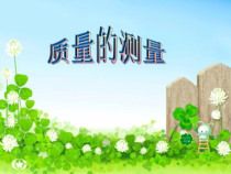 《质量的测量》PPT课件 (5)-七年级上册科学浙教版