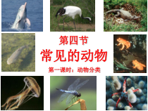 2.4《常见的动物1》PPT课件-七年级上册科学浙教版