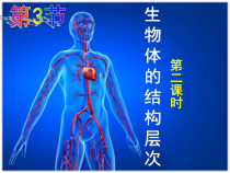 2.3《生物体的结构层次（2）》PPT课件-七年级上册科学浙教版