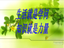 4.2《质量的测量（第一课时）》PPT课件-七年级上册科学浙教版