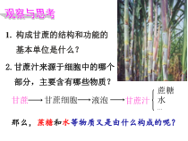 4.1《物质的构成》PPT课件-七年级上册科学浙教版