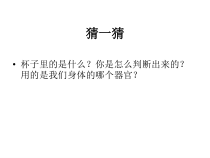《感觉世界》PPT课件 (6)-七年级下册科学浙教版
