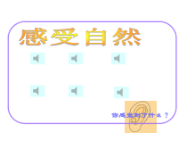 《耳和听觉》PPT课件 (5)-七年级下册科学浙教版
