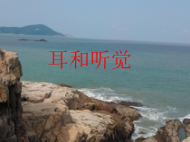 《耳和听觉》PPT课件-七年级下册科学浙教版