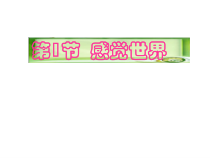 《感觉世界》PPT课件 (2)-七年级下册科学浙教版