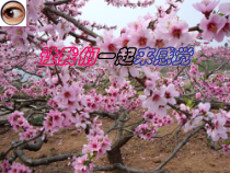 《感觉世界》PPT课件 (3)-七年级下册科学浙教版