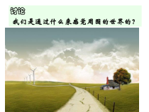 《感觉世界》PPT课件-七年级下册科学浙教版