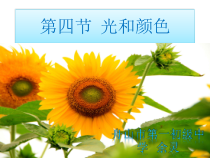 《光和颜色》（第二课时）PPT课件-七年级下册科学浙教版