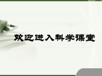 《牛顿第一定律》PPT课件 (8)-七年级下册科学浙教版