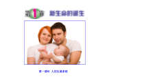 《新生命的诞生》PPT课件 (2)-七年级下册科学浙教版
