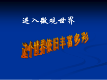 《细菌和真菌的繁殖》PPT课件-七年级下册科学浙教版