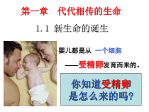 《新生命的诞生》PPT课件 (3)-七年级下册科学浙教版