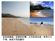《压强》(第一课时)PPT课件 (2)-七年级下册科学浙教版