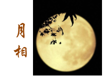 《月相》PPT课件 (2)-七年级下册科学浙教版