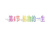 《植物的一生》（第1课时）PPT课件-七年级下册科学浙教版