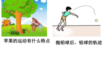3.3《重力》PPT课件 (3)-七年级下册科学浙教版