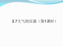 3.7《压强》PPT课件-七年级下册科学浙教版