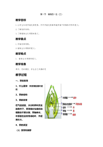 浙教版科学七年级下册《植物的一生》（第三课时）教案 (3)