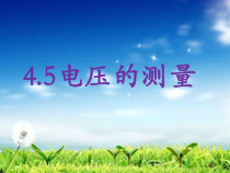 《电压的测量》PPT课件(1)-八年级上册科学浙教版