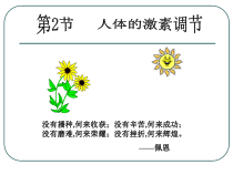 《人体的激素调节》PPT课件 (5)-八年级上册科学浙教版