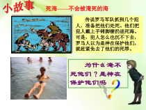 《水的浮力》PPT课件 (3)-八年级上册科学浙教版