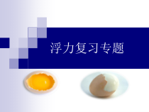 《水的浮力》复习PPT课件 (3)-八年级上册科学浙教版