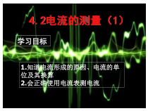 《电流的测量》PPT课件 (4)-八年级上册科学浙教版