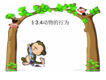 《动物的行为》PPT课件 (4)-八年级上册科学浙教版