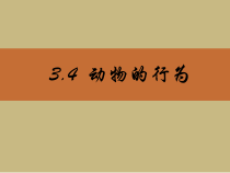 《动物的行为》PPT课件2-八年级上册科学浙教版