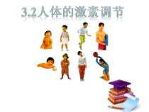 《人体的激素调节》PPT课件 (4)-八年级上册科学浙教版