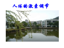 《人体的激素调节》PPT课件 (3)-八年级上册科学浙教版