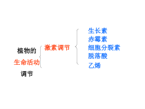《神经调节》（第一课时）PPT课件-八年级上册科学浙教版-八年级上册科学浙教版