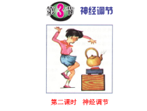 《神经调节》PPT课件 (4)-八年级上册科学浙教版-八年级上册科学浙教版