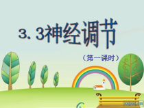 《神经调节》PPT课件 (7)-八年级上册科学浙教版-八年级上册科学浙教版