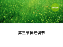 《神经调节》PPT课件(8)-八年级上册科学浙教版-八年级上册科学浙教版