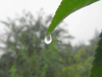 《水的组成》PPT课件 (8)-八年级上册科学浙教版