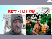 《体温的控制》PPT课件 (5)-八年级上册科学浙教版