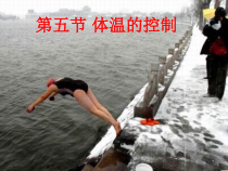 《体温的控制》PPT课件 (7)-八年级上册科学浙教版