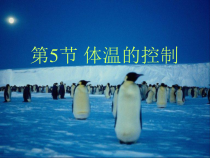 《体温的控制》PPT课件(12)-八年级上册科学浙教版