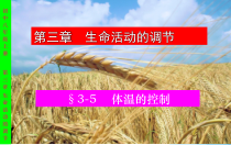 《体温的控制》PPT课件 (11)-八年级上册科学浙教版