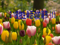 《植物生命活动的调节》PPT课件 (3)-八年级上册科学浙教版