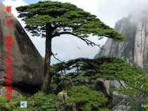 《植物生命活动的调节》PPT课件(7)-八年级上册科学浙教版