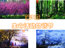 《植物生命活动的调节》PPT课件(8)-八年级上册科学浙教版