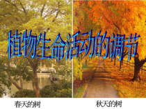 3.1.1 《植物生命活动的调节》（第1课时）PPT课件-八年级上册科学浙教版