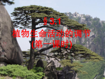 3.1.1《植物生命活动的调节》PPT课件-八年级上册科学浙教版