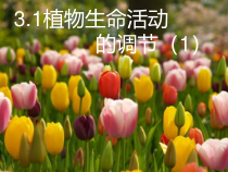 3.1《植物生命活动的调节》PPT课件 (2)-八年级上册科学浙教版