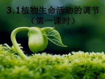 3.1《植物生命活动的调节》PPT课件(1)-八年级上册科学浙教版